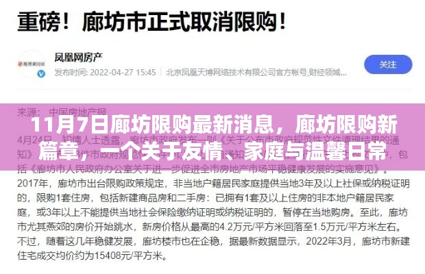 廊坊限购新篇章，友情、家庭与温馨日常的趣事