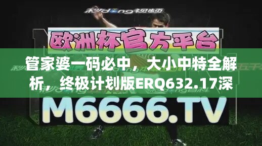 管家婆一码必中，大小中特全解析，终极计划版ERQ632.17深度剖析