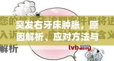 突发右牙床肿胀，原因解析、应对方法与预防策略