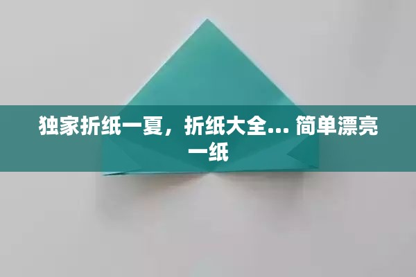 独家折纸一夏，折纸大全... 简单漂亮 一纸 