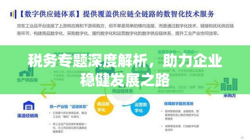 税务专题深度解析，助力企业稳健发展之路