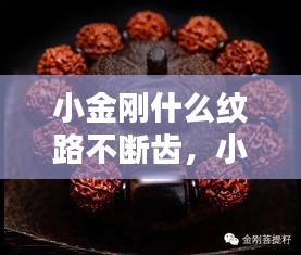 小金刚什么纹路不断齿，小金刚什么纹路密度高 