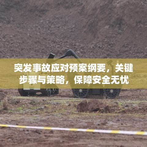 突发事故应对预案纲要，关键步骤与策略，保障安全无忧