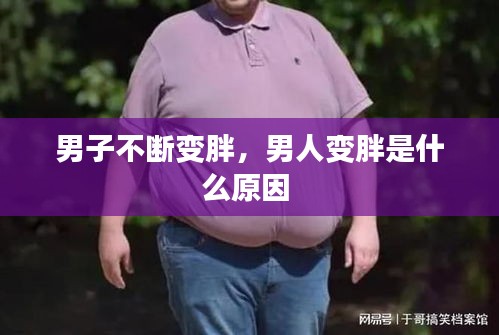 见缝就钻