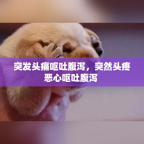 突发头痛呕吐腹泻，突然头疼恶心呕吐腹泻 