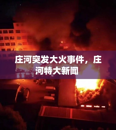 庄河突发大火事件，庄河特大新闻 