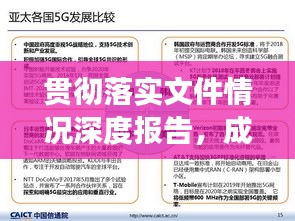 贯彻落实文件情况深度报告，成果、挑战与未来展望