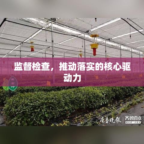 监督检查，推动落实的核心驱动力