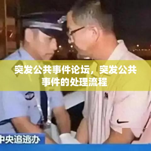 突发公共事件论坛，突发公共事件的处理流程 