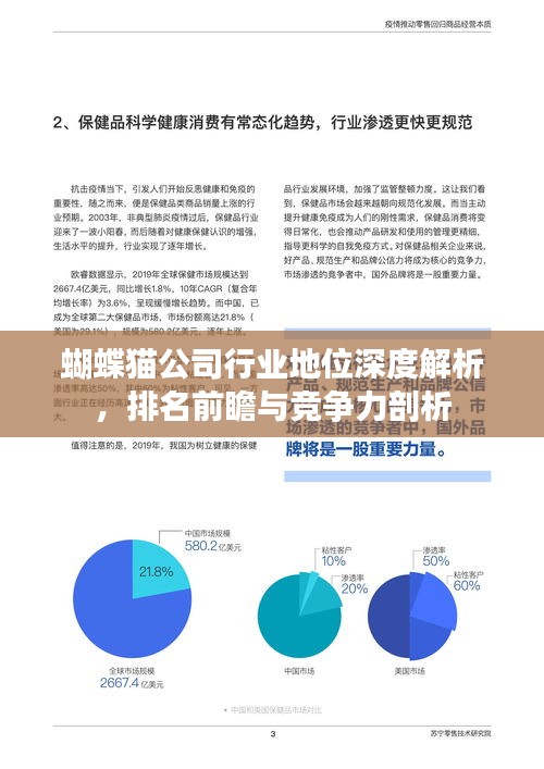 蝴蝶猫公司行业地位深度解析，排名前瞻与竞争力剖析