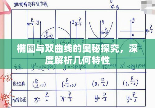 考级报名 第3页