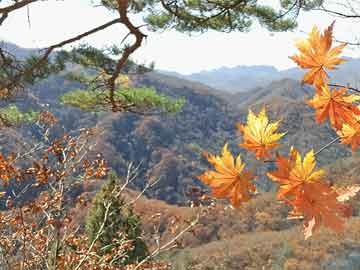 揭秘，历年11月12日兰州奕克军的最新动态报道📢