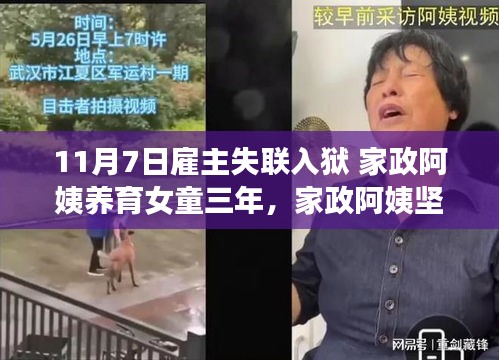 家政阿姨坚守与责任，育婴三年的故事，雇主失联入狱下的感人篇章