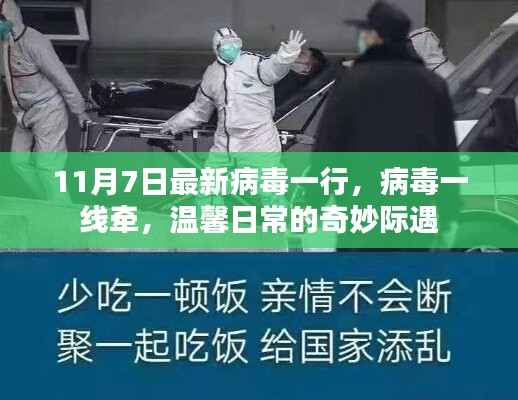 日常中的病毒一线牵，奇妙际遇于11月7日