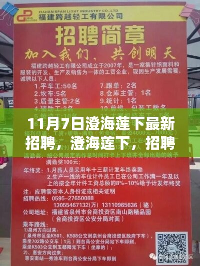 澄海莲下招聘日，遇见小幸运与温情故事