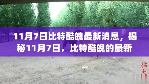 揭秘比特酷魄最新动态与未来展望，11月7日最新消息速递