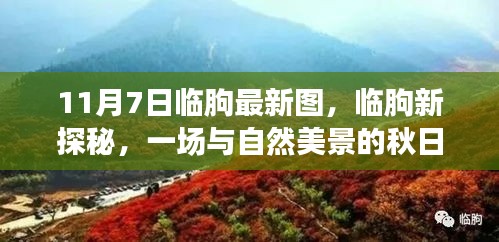 临朐秋日新探秘，与自然美景的邂逅时光（11月7日最新图片）