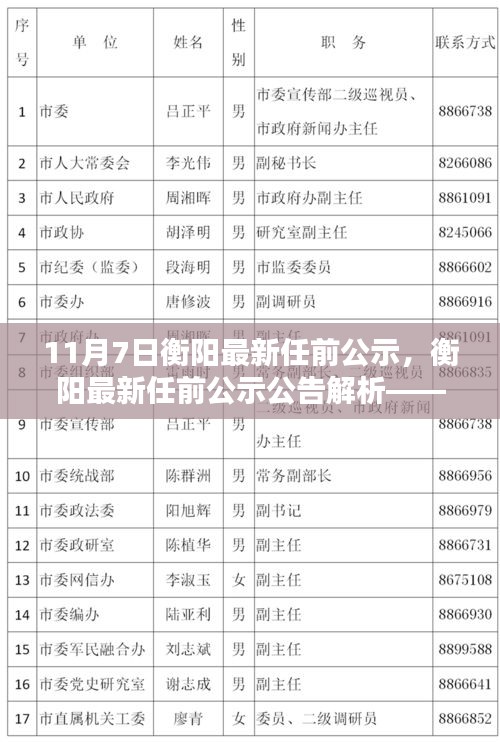 衡阳最新任前公示解析，聚焦要点深度探讨