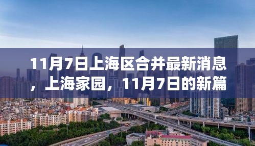 上海家园新篇章，邻里温情与成长故事——11月7日上海区合并最新消息