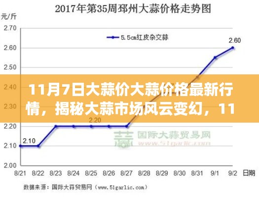 11月7日大蒜市场行情深度解析，价格风云揭秘