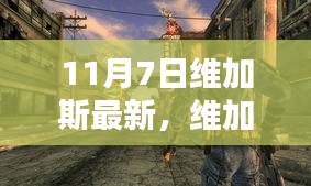 维加斯最新评测与介绍，全面解读维加斯新动态（11月7日更新）