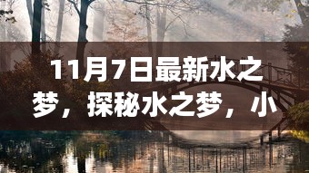 探秘水之梦，小巷中的独特水韵宝藏，全新魅力展现于11月7日