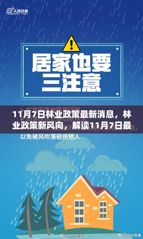 解读最新林业政策动态，林业政策新风向及其深远影响（11月7日更新）