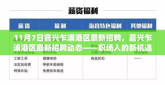 嘉兴乍浦港区最新招聘动态，职场人的新机遇在乍浦港区开启