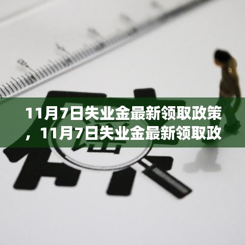 11月7日失业金最新领取政策解读与申请指南