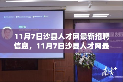 11月7日沙县人才网最新招聘信息及应聘全攻略（初学者与进阶用户必看）