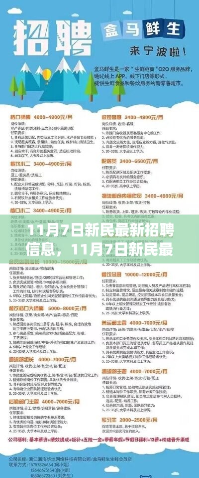 11月7日新民最新招聘信息与招聘启事，变化助力成长，学习铸就自信