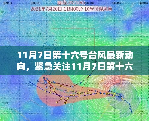 11月7日第十六号台风最新动态解析，全方位关注风暴走向与影响