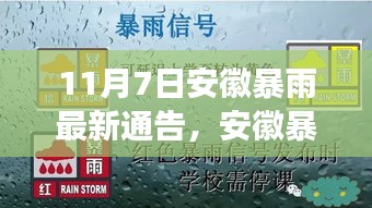 安徽暴雨下的温情日常，友情与陪伴的故事（实时更新）