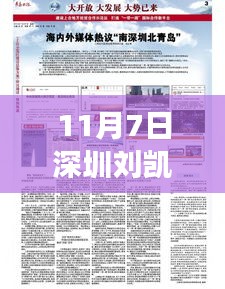 深圳刘凯章最新新闻热议，正反双方观点与个人立场探究