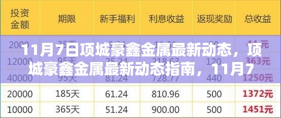 11月7日项城豪鑫金属最新动态详解，从入门到进阶的操作指南