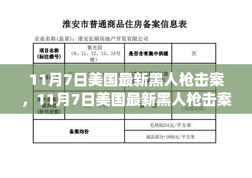 美国最新黑人枪击案深度揭示社会问题的背后真相