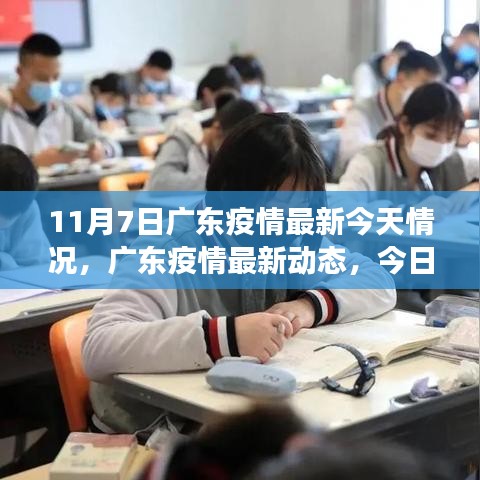 广东疫情最新动态深度观察，11月7日深度分析与影响