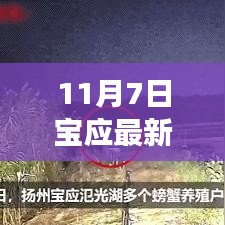 宝应11月7日趣事录，友情的温暖交响