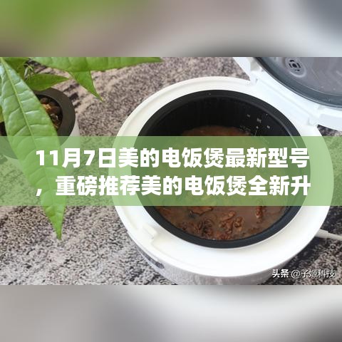 美的电饭煲全新升级，重磅推荐最炫型号带你进入智能烹饪新时代