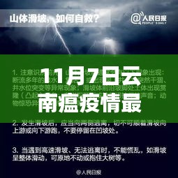 11月7日云南疫情最新消息详解，数据与评测介绍