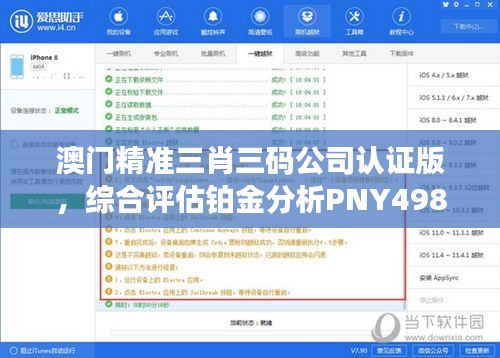 澳门精准三肖三码公司认证版，综合评估铂金分析PNY498.96