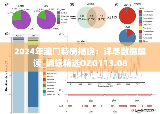 2024年澳门特码揭晓：详尽数据解读_编辑精选OZG113.08