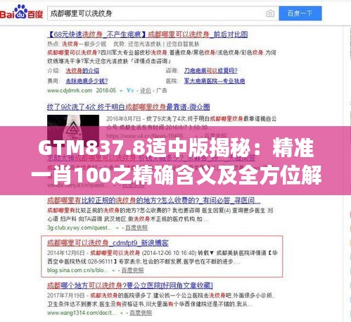 GTM837.8适中版揭秘：精准一肖100之精确含义及全方位解析