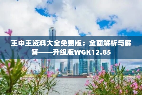 王中王资料大全免费版：全面解析与解答——升级版WGK12.85