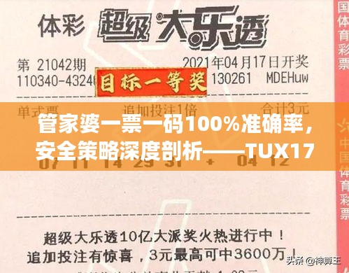 管家婆一票一码100%准确率，安全策略深度剖析——TUX170.84学习版