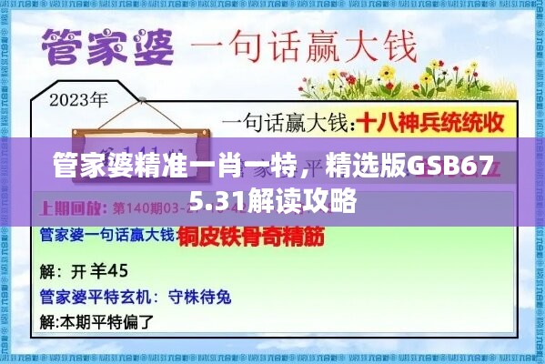 管家婆精准一肖一特，精选版GSB675.31解读攻略