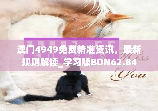 澳门4949免费精准资讯，最新规则解读_学习版BDN62.84