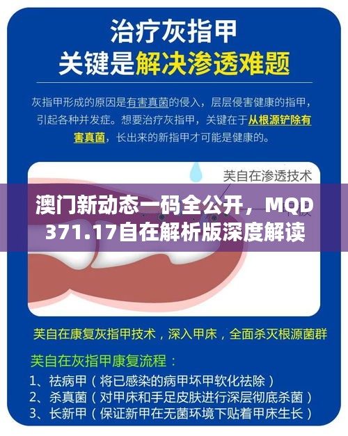 澳门新动态一码全公开，MQD371.17自在解析版深度解读