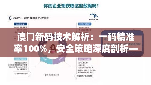 澳门新码技术解析：一码精准率100%，安全策略深度剖析——SOQ713.99优先版