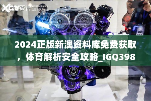 2024正版新澳资料库免费获取，体育解析安全攻略_IGQ398.65